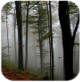 The Mystic Jungle - Stroy designed help develop children's healthy self esteem